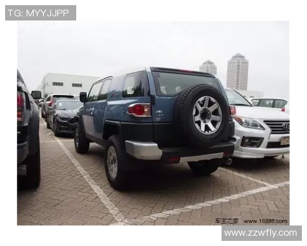 洲际杯积分榜更新杭州网球队凭借96分稳居榜首展现强劲实力