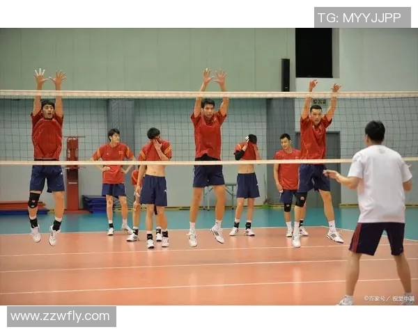 聚焦排球：探讨成都排球队员个人能力提升与团队协作的关系