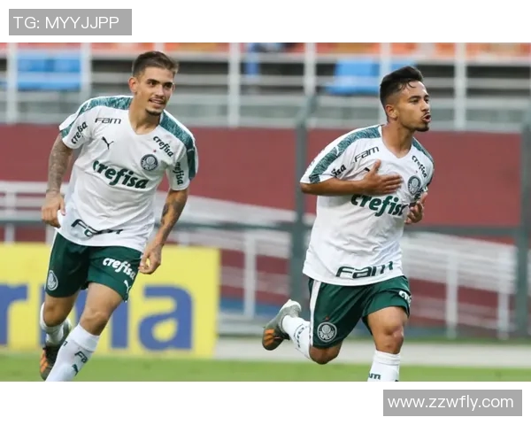 帕梅拉斯与圣保罗对决前瞻分析及比赛预测详解