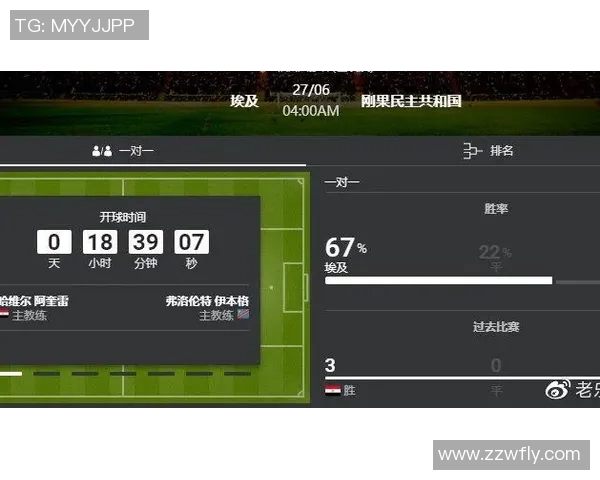 胜负彩分析埃及与津巴布韦对决前瞻及预测解析