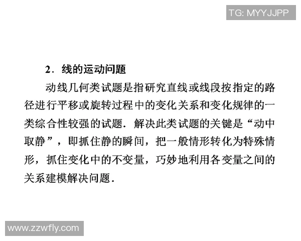 西安极限运动队的挑战与机遇分析及其控制策略的成效与不足