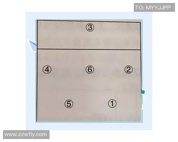 上海排球队进攻体系解析：战术创新与实战应用探讨