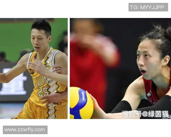 南京排球队引领最新排球节奏TOP10榜单全景解析