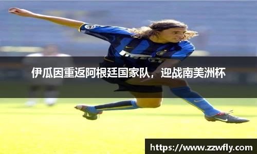 3377体育官网
