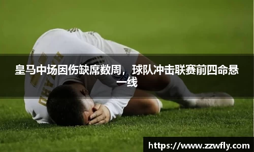 3377体育官网