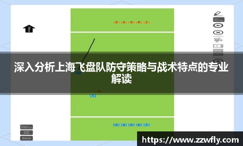 深入分析上海飞盘队防守策略与战术特点的专业解读