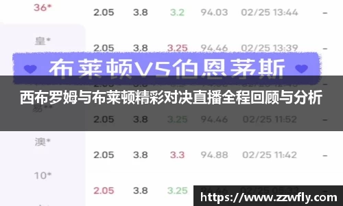 西布罗姆与布莱顿精彩对决直播全程回顾与分析