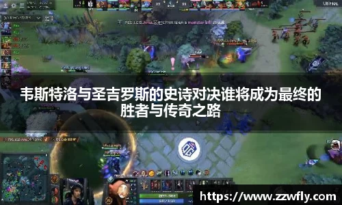 3377体育官网