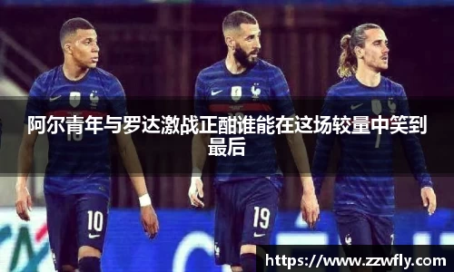 3377体育官网