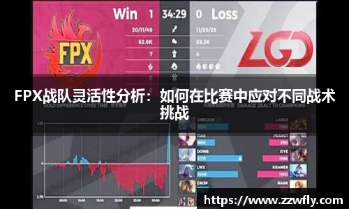 3377体育官网
