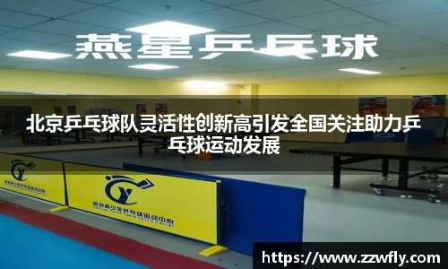 3377体育官网
